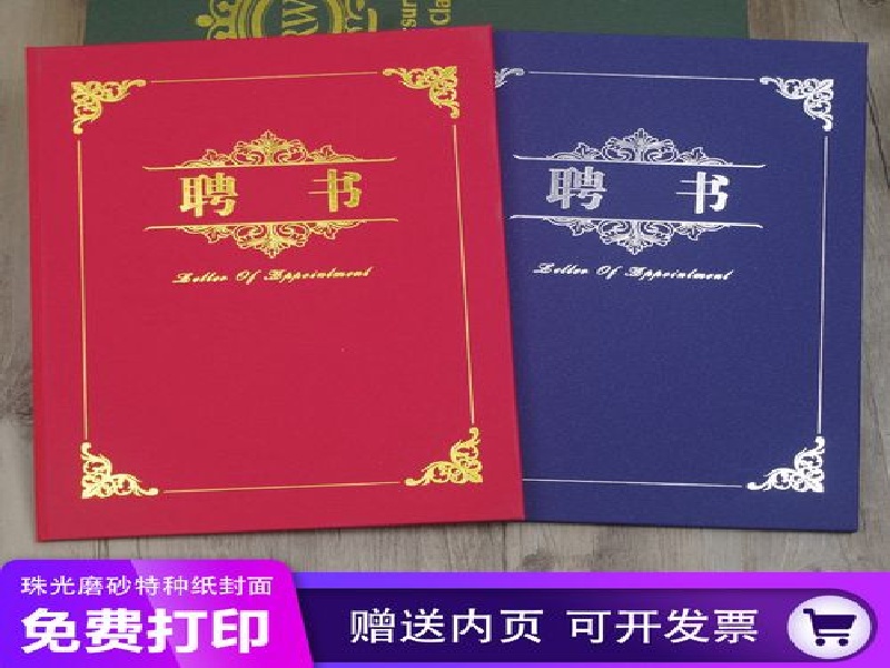 技能证书案例